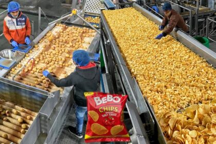 Potato Chips Business