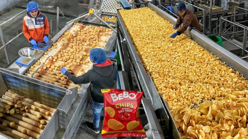 Potato Chips Business