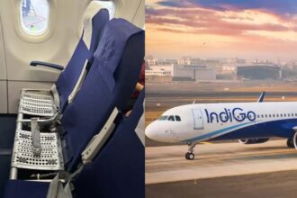 Indigo Flight