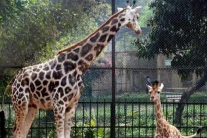 Alipore Zoological Park Kolkata