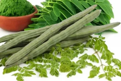 Drumstick leaves juice