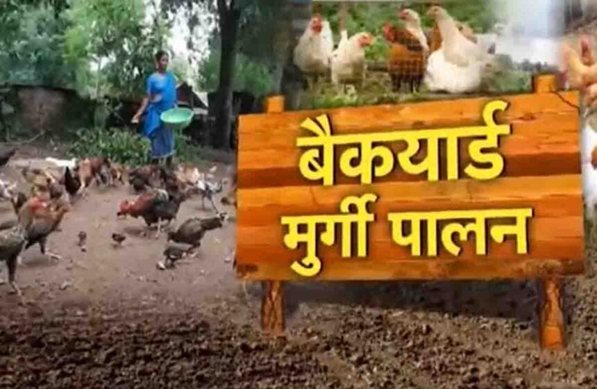 Backyard Poultry Farming