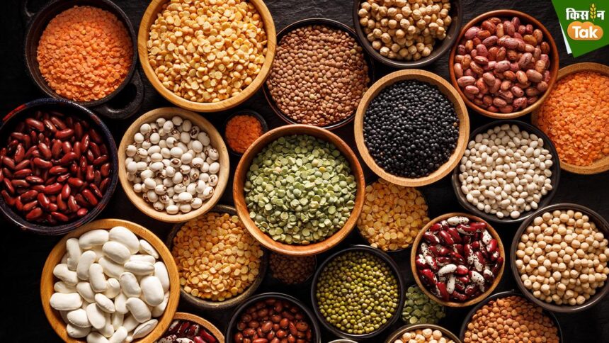 Pulses Stock Limit: