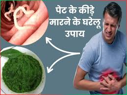 Symptoms of intestinal worms